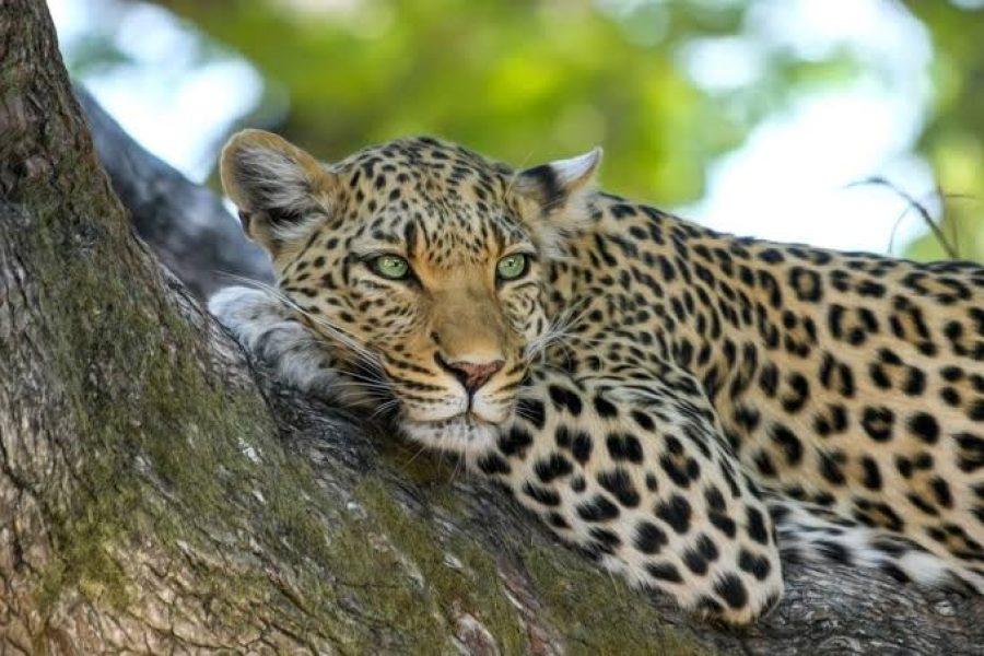 Birougou National Park