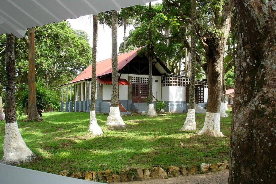 Museum Albert Schweitzer