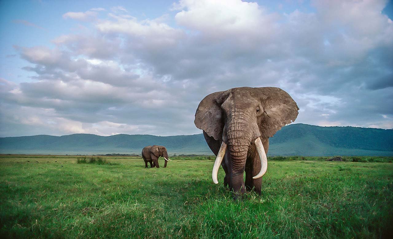 Moukalaba-Doudou National Park