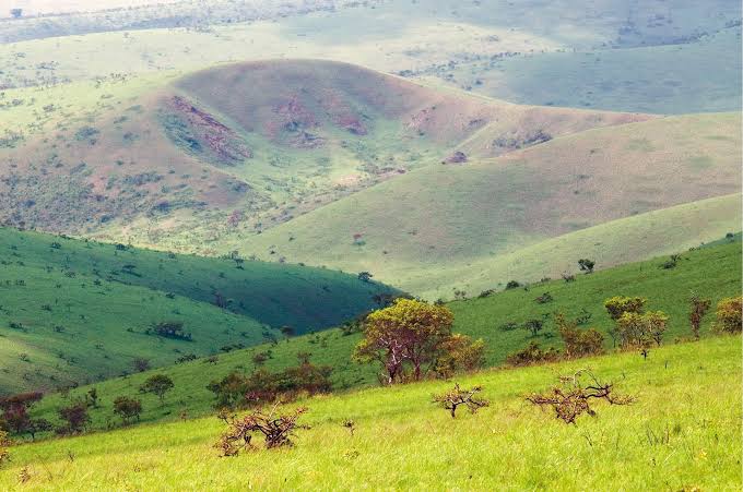 Moukalaba-Doudou National Park