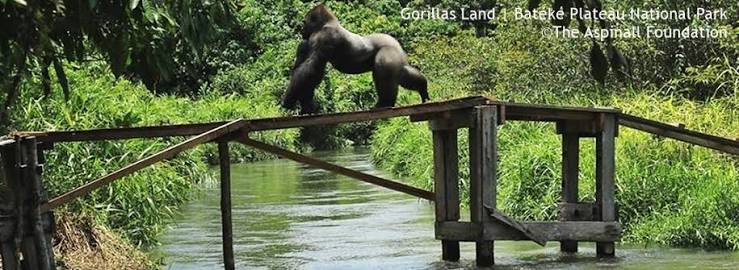 Moukalaba-Doudou National Park