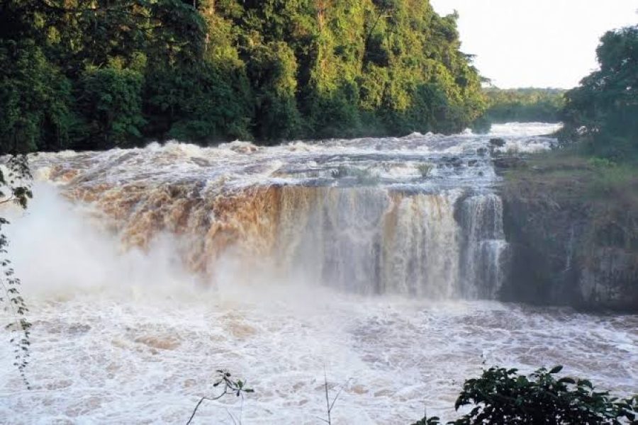 Franceville, Poubara Falls and Lékédi Park
