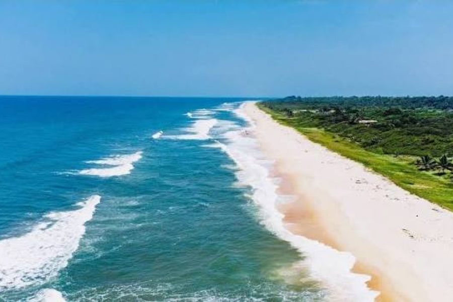 Waka National Park